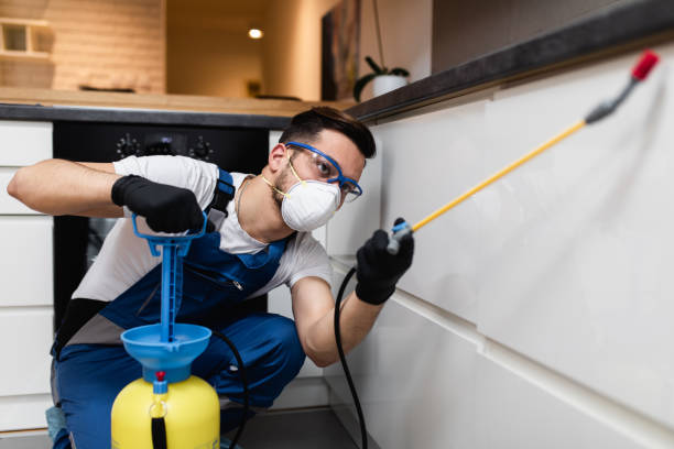 Best Best Pest Control Companies  in Shanor Northvue, PA