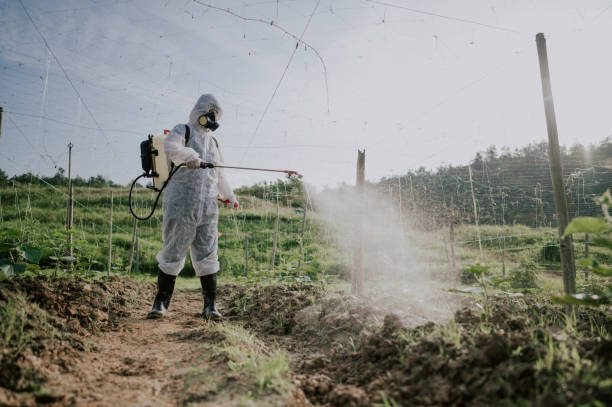Best Best Pest Control Companies  in Shanor Northvue, PA