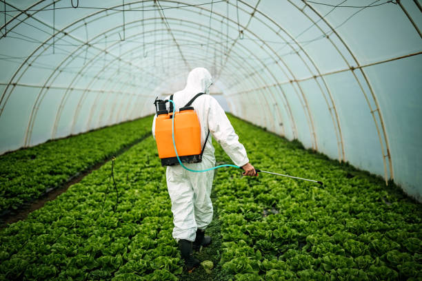 Best Affordable Pest Control Services  in Shanor Northvue, PA
