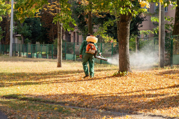 Best Bird Control  in Shanor Northvue, PA