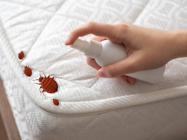 Best Pest Control Near Me in Shanor Northvue, PA