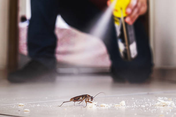 Best Pest Removal Services  in Shanor Northvue, PA