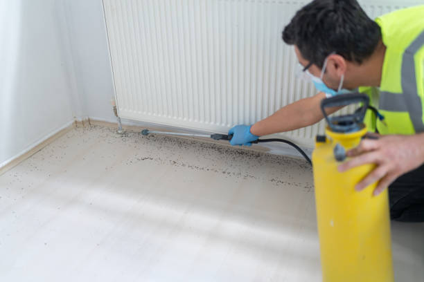 Best Cockroach Control Services  in Shanor Northvue, PA