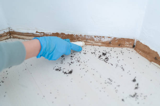 Best Residential Pest Control  in Shanor Northvue, PA