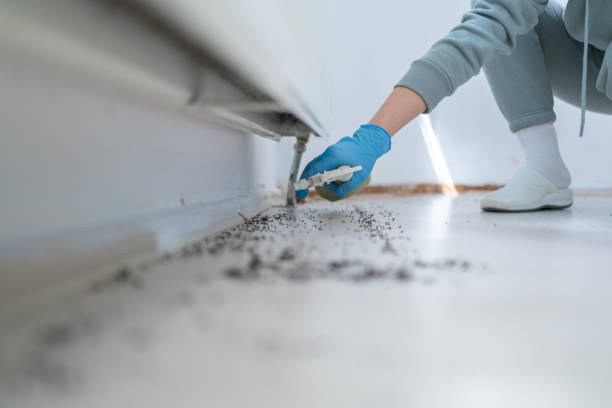 Shanor Northvue, PA Pest Control Company